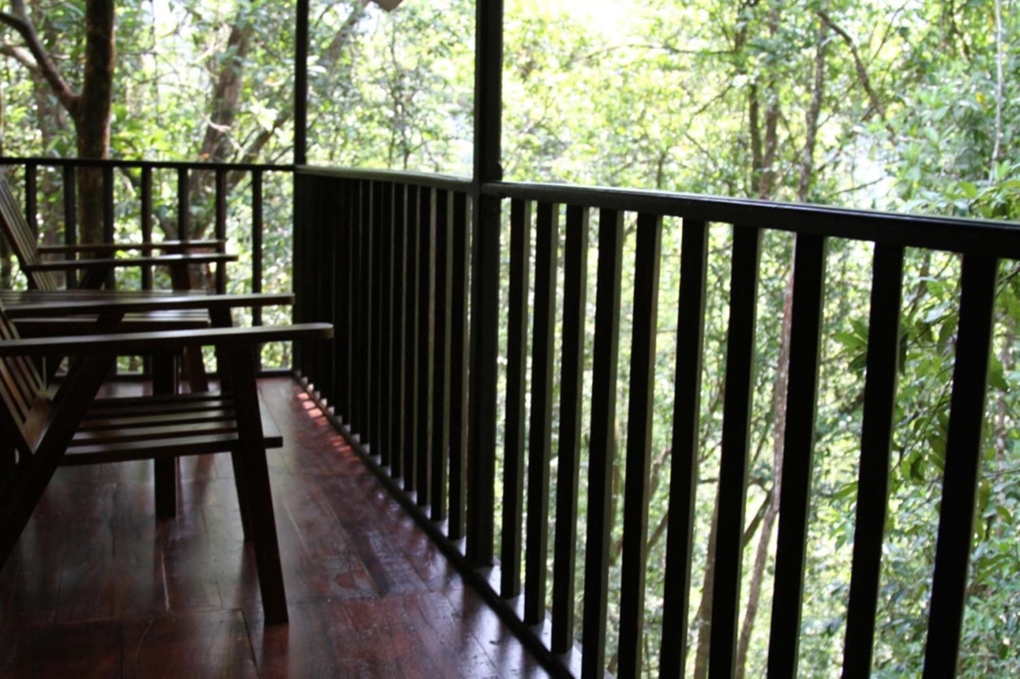 Birds Paradise Hotel Kudawe Ruang foto