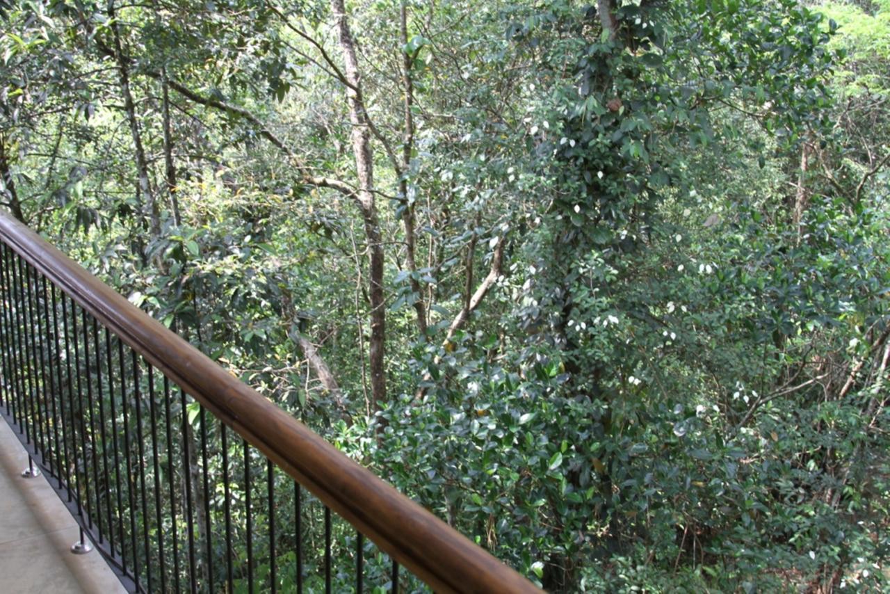 Birds Paradise Hotel Kudawe Bagian luar foto