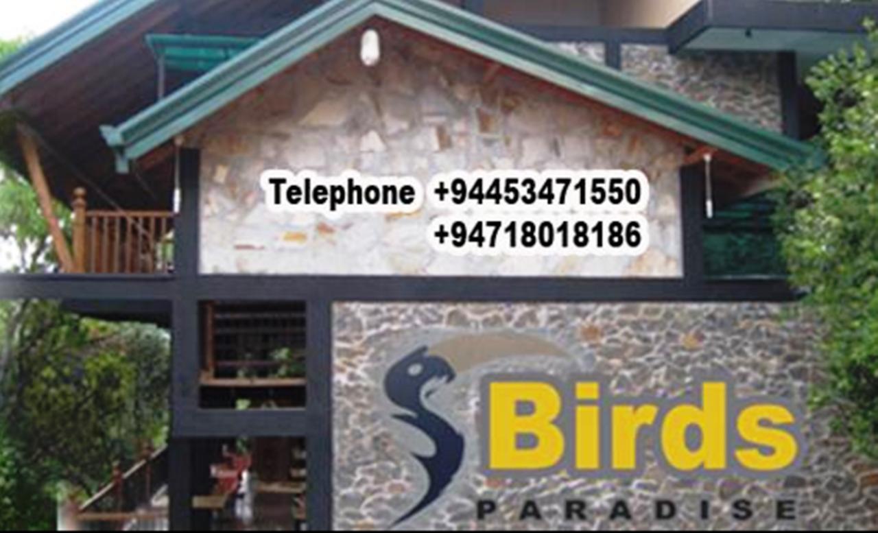 Birds Paradise Hotel Kudawe Bagian luar foto