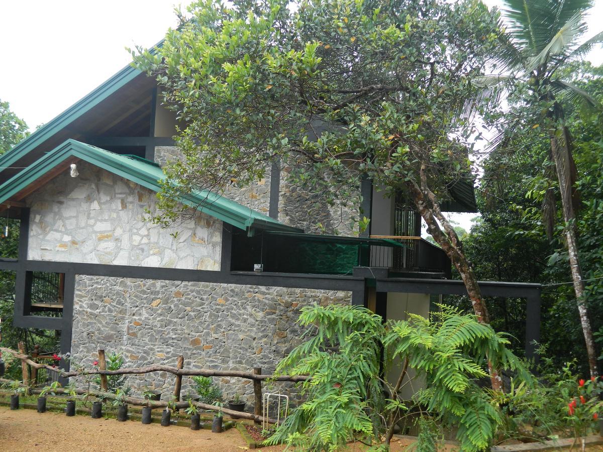 Birds Paradise Hotel Kudawe Bagian luar foto