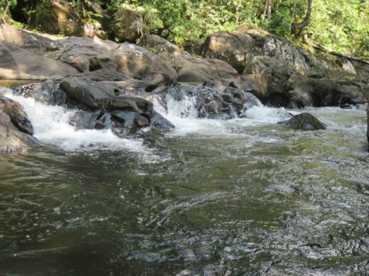 Birds Paradise Hotel Kudawe Bagian luar foto
