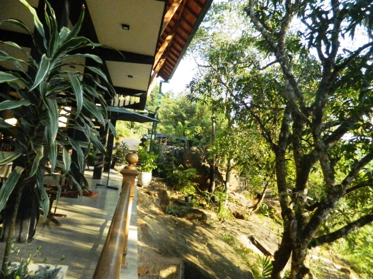 Birds Paradise Hotel Kudawe Bagian luar foto