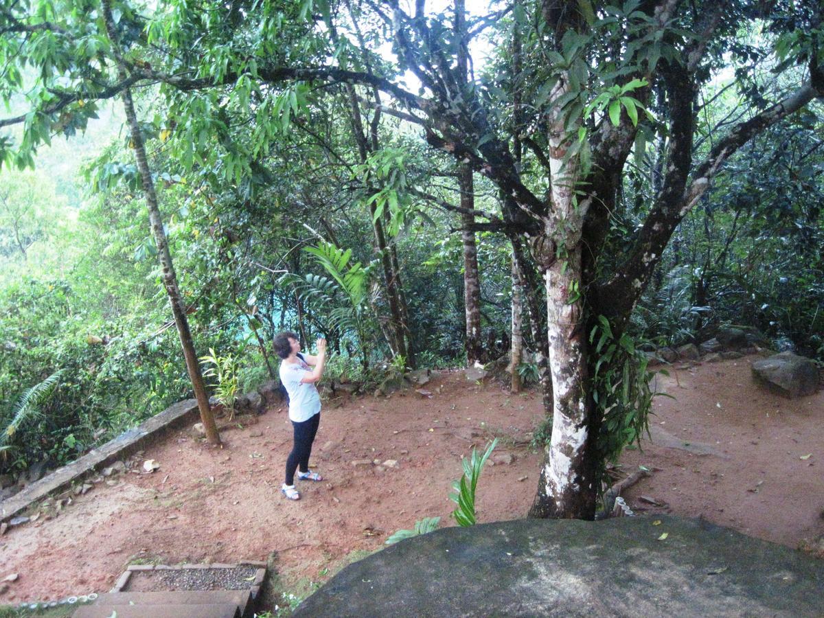 Birds Paradise Hotel Kudawe Bagian luar foto