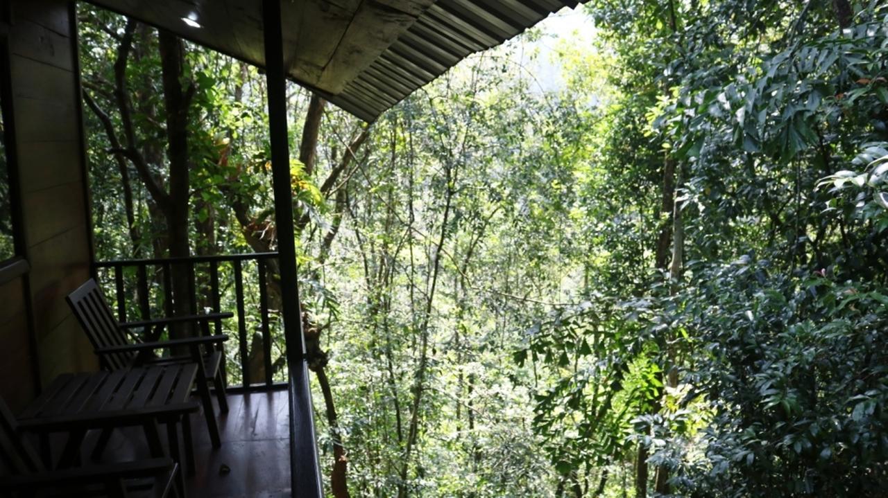 Birds Paradise Hotel Kudawe Bagian luar foto