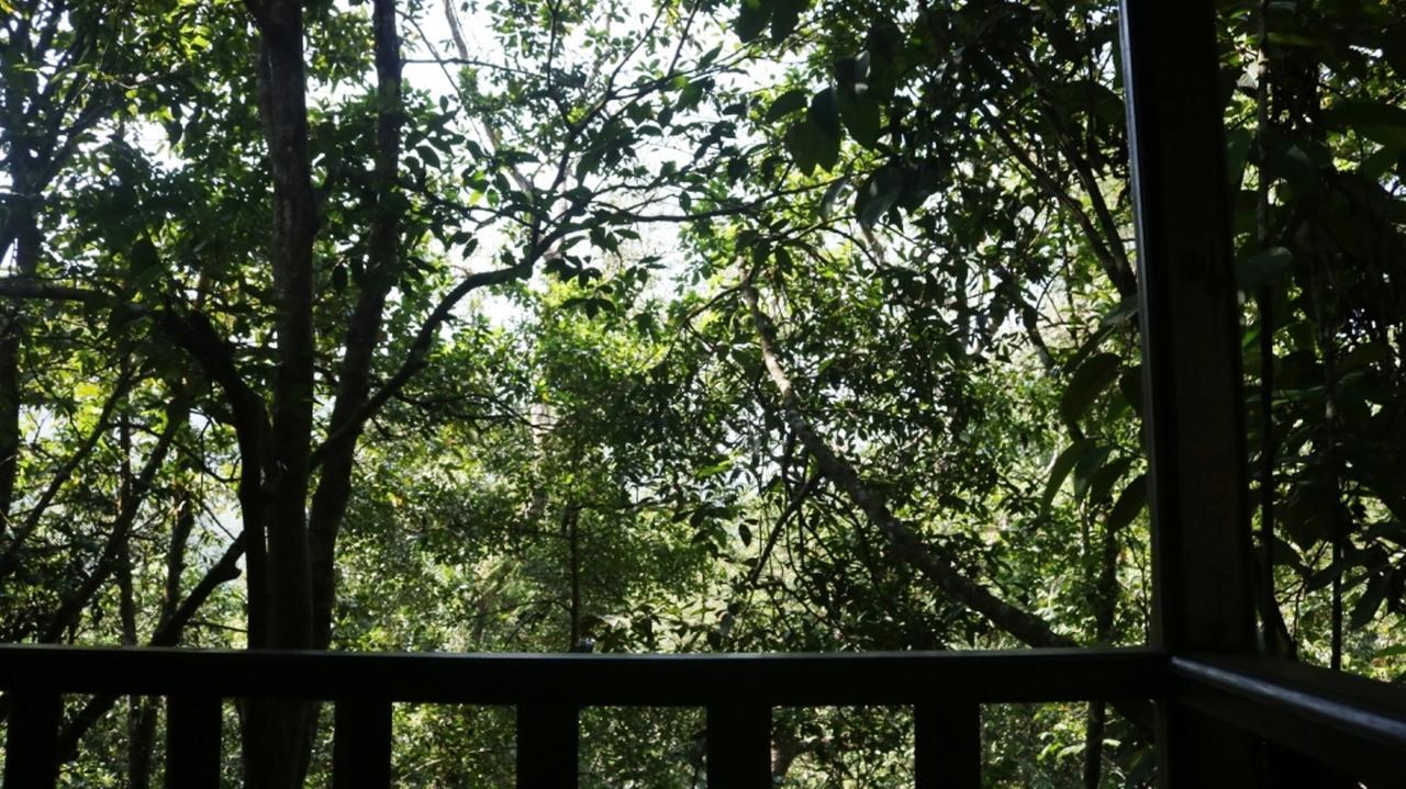 Birds Paradise Hotel Kudawe Bagian luar foto