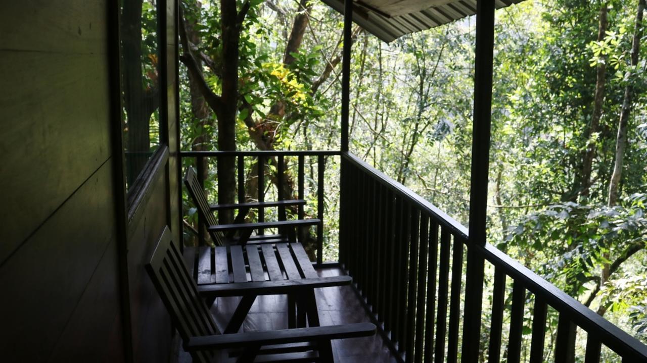 Birds Paradise Hotel Kudawe Bagian luar foto